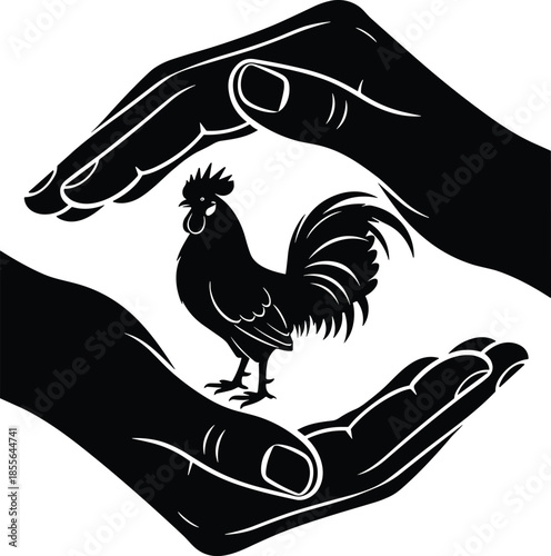 Rooster or cock standing protected by cupped human hands, symbolizing animal protection, farming, security, and safety, black and white vector silhouette logo design on white.