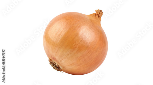 Wallpaper Mural Single Whole Unpeeled Brown Onion isolated PNG with Transparent Background Torontodigital.ca