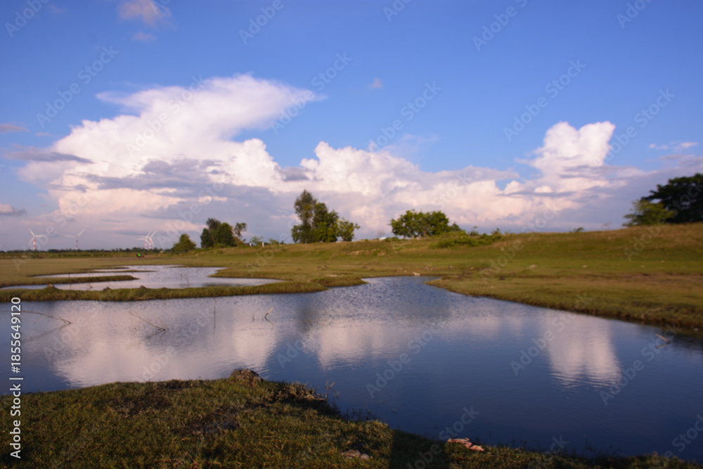 Obraz premium Wetland pond with blue sky reflection