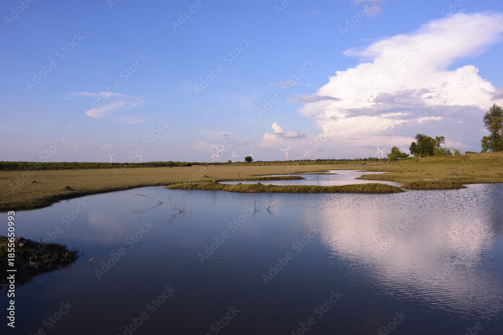 Fototapeta premium Wetland pond with blue sky reflection