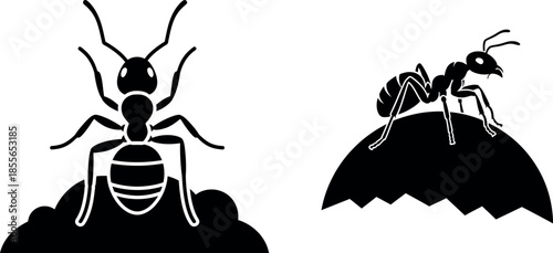 Ant black silhouette illustration set
