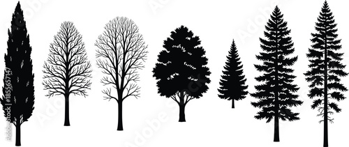 Tree silhouettes collection, deciduous and evergreen forest trees, black isolated botanical shapes, nature design elements, woodland vegetation icons, minimal vector style