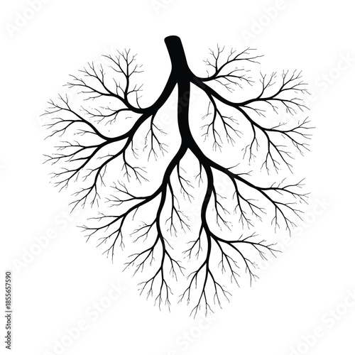 Black silhouette of lung bronchial tree illustration
