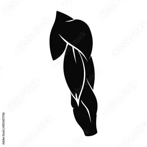 Silhouette of muscular arm with defined muscles