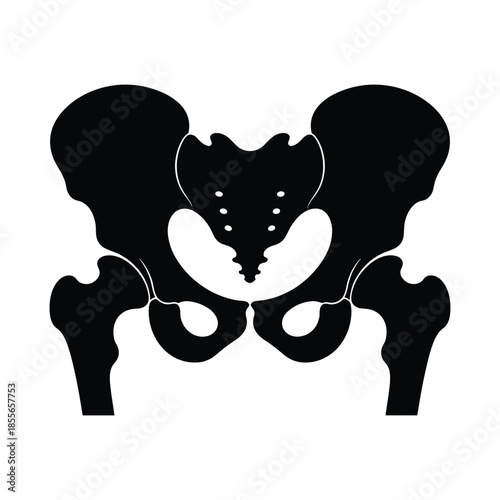 Silhouette of human pelvic bone anatomy