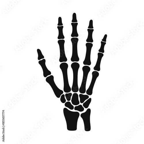 Silhouette of human hand skeleton bones