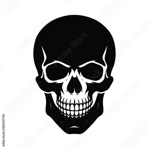 black and white skull vector illustration