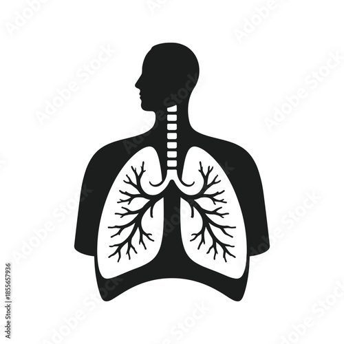Silhouette of human lungs and trachea anatomy