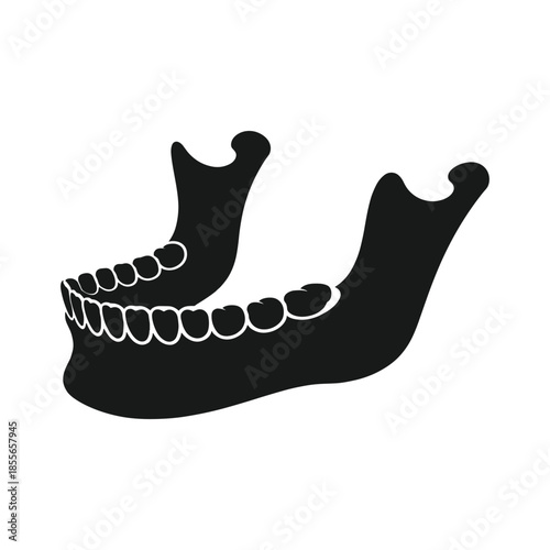 Silhouette of human lower jawbone