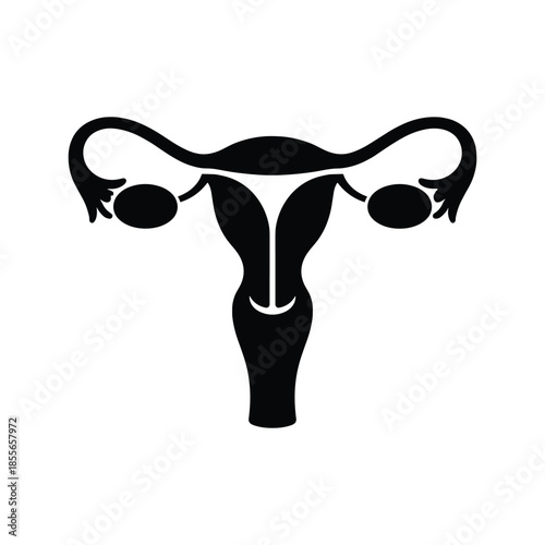Silhouette of female reproductive system