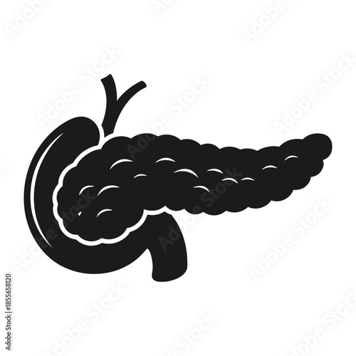 Silhouette of human pancreas and stomach