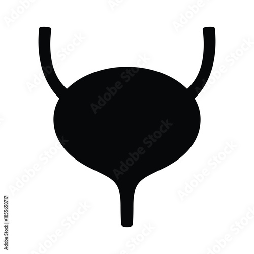 Silhouette of human urinary bladder icon