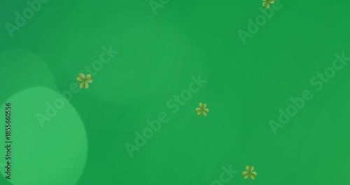 Patricks Day Animation with Alpha Channel