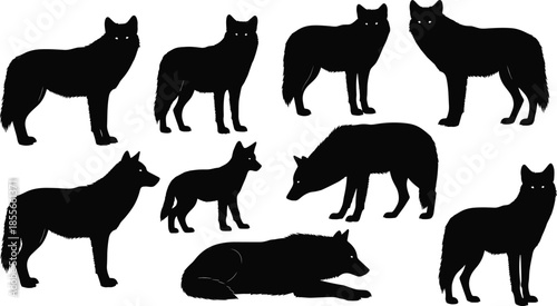 Wolf silhouette illustration set, standing, walking, lying poses, diverse postures and anatomy, black vector icons, isolated