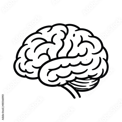 Outline vector illustration of human brain side view