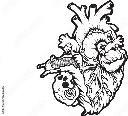 Artistic anatomical heart illustration with snail detail, symbolizing life's slow journey and internal growth in a monochrome sketch