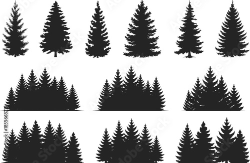Black silhouette pine trees, evergreen forest illustration, conifer tree shapes, nature landscape design, isolated fir trees, woodland vector element collection