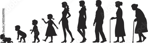 life, stages, evolution, human, silhouette, baby, child, teenager, adult, senior, aging, growth, development, people, timeline, walking, family, generation, concept, lifestyle