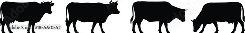 Farm, cows, black, silhouette, standing, grazing, cattle, herd, livestock, animals, rural, agriculture, nature, pasture, grazing, concept, countryside, domestic, farmyard, meadow