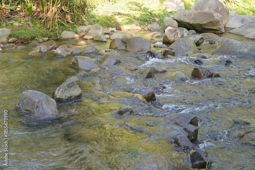 Big stones resting in a natural river.