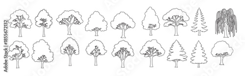 palm pine and deciduous tree silhouettes clean icons 