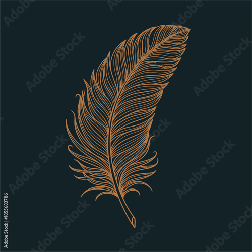 Elegant Feather Design, Nature Art, Digital Illustration, Modern Aesthetic, Black Background, Artistic Viewpoint