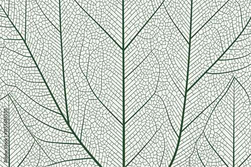 Nature Illustration, Leaf Patterns, Botanical Art, Green Textures, Detailed Design, Graphic Art