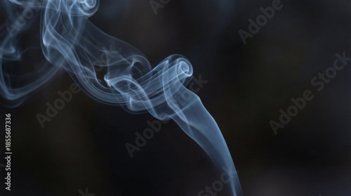 A wisp of elegant smoke gra...