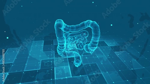 Futuristic Digital Human Intestine Anatomy with Medical Data Interface