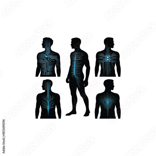 Human body diagrams showcasing internal circuitry.