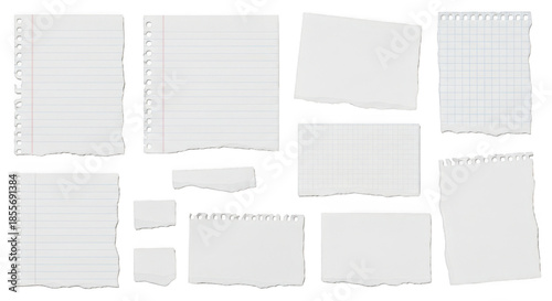 Collection of torn notebook paper pieces isolated on transparent background