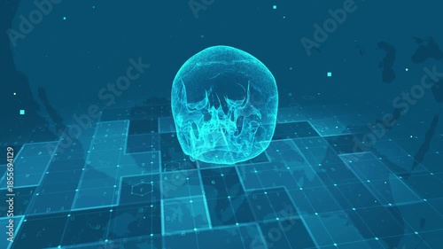 Futuristic Digital Human Skull Anatomy with Medical Data Interface