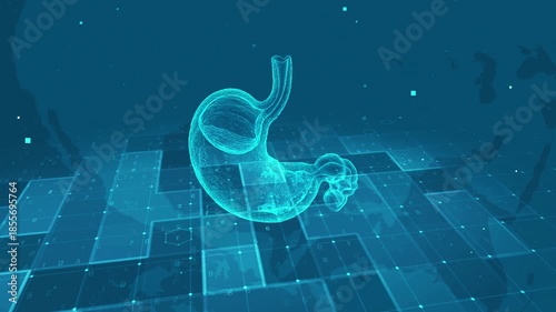 Futuristic Digital Human Stomach Anatomy with Medical Data Interface