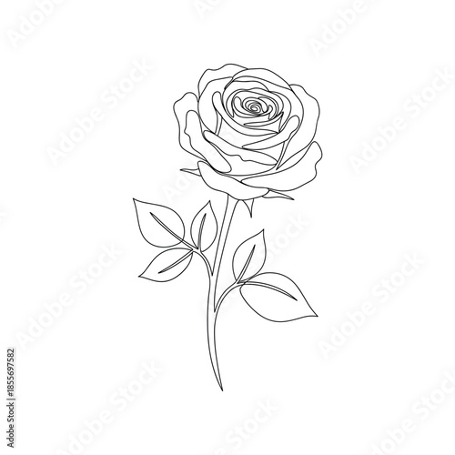 Elegant line drawing of a rose isolated on white background, Vector, illustration