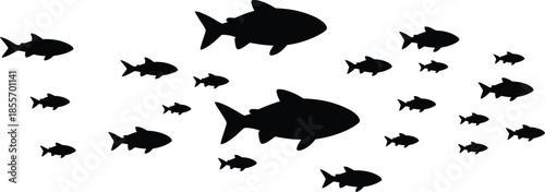 Fish school silhouette vector illustration with big and small fishes swimming isolated for marine ocean and nature design