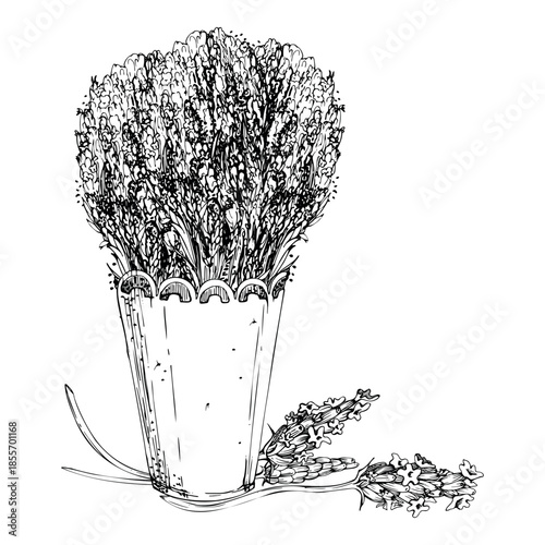 Metal lace cachepot with wild lavender bouquet, lavandula flower stems stalks. Isolated illustration hand drawn in vector ink, detailed line sketch. Linens scented wardrobe storage, self-care gifts