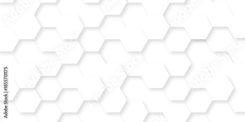 Abstract emboss paper hexagon geometric creative mosaic. white hexagon technology. vector grid honeycomb soccer hexagonal cell structure tile mess. texture emboss bee background.