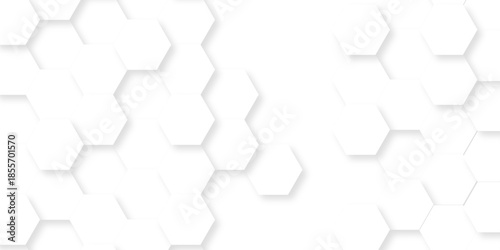Abstract emboss paper hexagon geometric creative mosaic. white hexagon technology. vector grid honeycomb soccer hexagonal cell structure tile mess. texture emboss bee background.