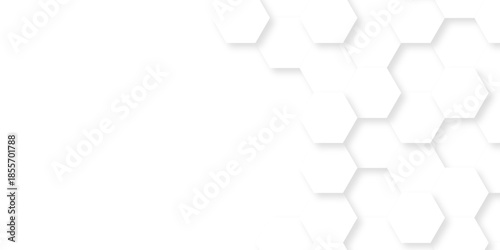 Abstract emboss paper hexagon geometric creative mosaic. white hexagon technology. vector grid honeycomb soccer hexagonal cell structure tile mess. texture emboss bee background.