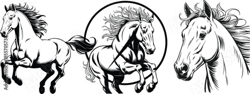 Dynamic black and white horse illustration set featuring running stallions and detailed equine head line art for logo, tattoo, and branding design use