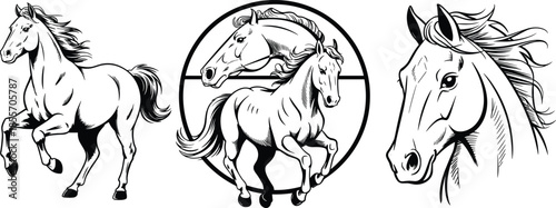 Black and white horse illustrations featuring galloping motion, emblem design, and detailed portrait artwork, perfect for equestrian branding, education, and creative projects