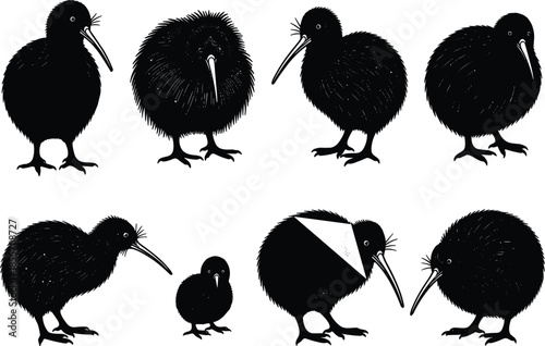 Set of kiwi bird silhouettes isolated on white background, detailed wildlife vector illustration, flightless bird design elements for nature, zoo, and education projects