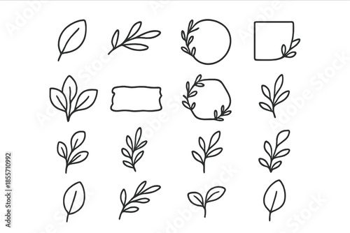 Botanical elements and frames line art