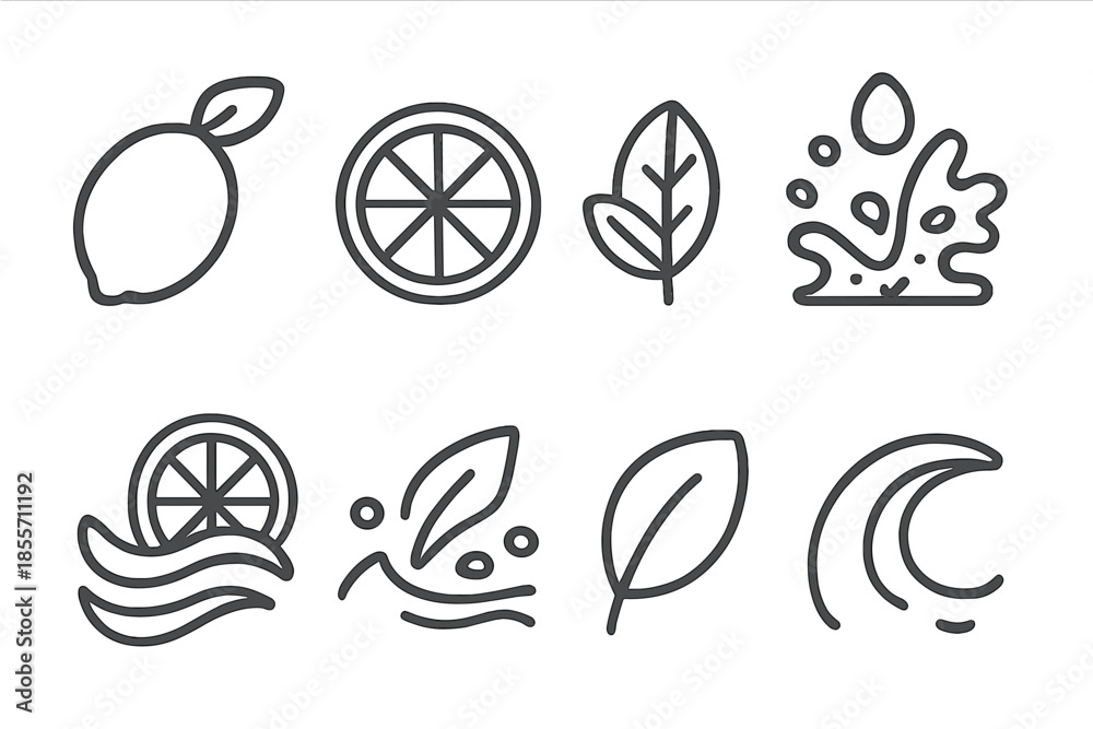 Fototapeta premium Citrus and Leaf Icons with Water Elements