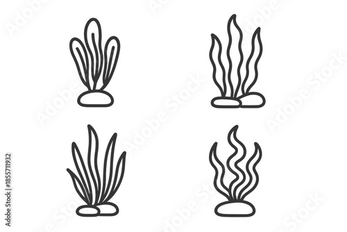 Set of 4 Seaweed Icons on Black Background