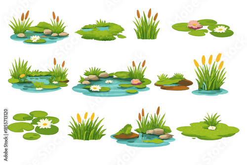 Digital art collection of serene pond elements