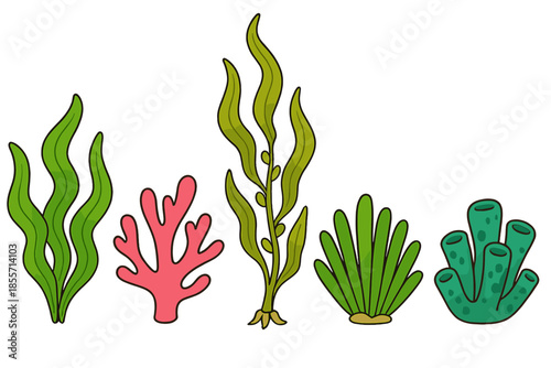 Cartoon underwater plants and coral
