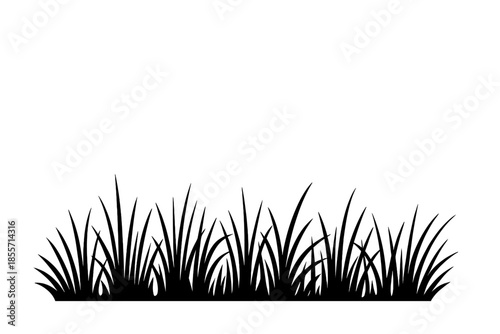 Dark Silhouette of Grass Blades on a Gradient Background