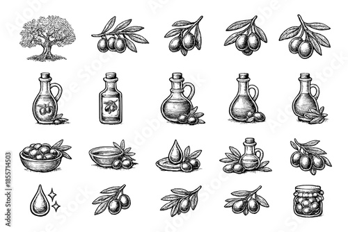 Olive Tree and Olive Oil Icons Set