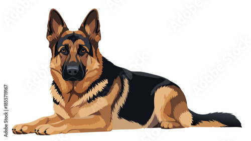 A vector illustration of a German Shepherd dog lying down on a white background
